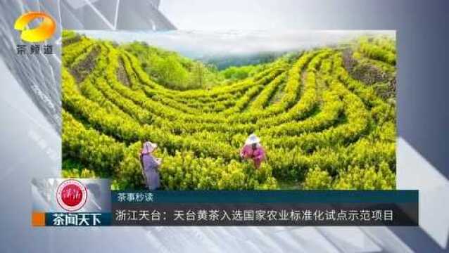 浙江天台:天台黄茶入选国家农业标准化试点示范项目茶闻天下