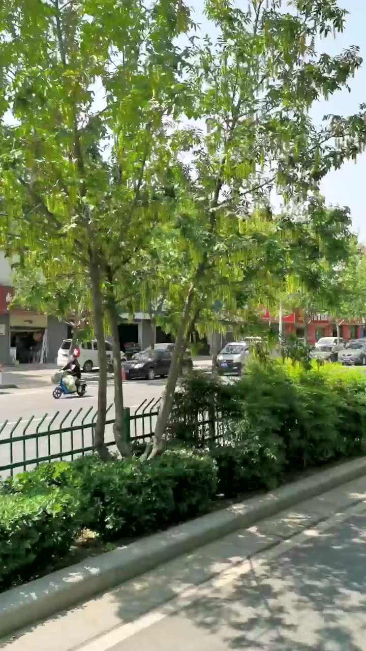 一起逛郑州,这里有点大城市感觉了,永平路康平路随拍