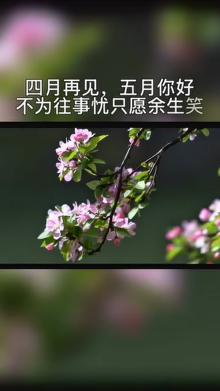 四月再见五月你好不为往事忧只愿余生笑愿你懂得放下过的自在