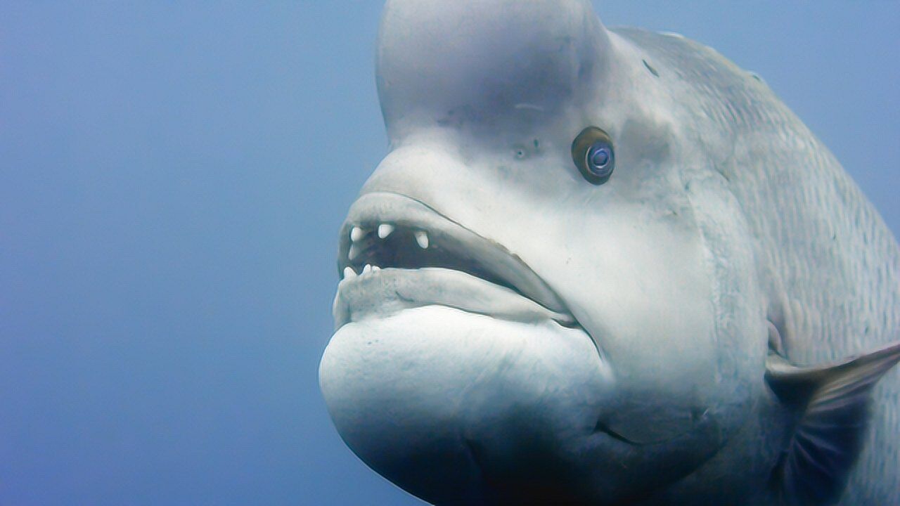 腾讯视频-中国领先的在线视频媒体平台,海量高清视频在线观看