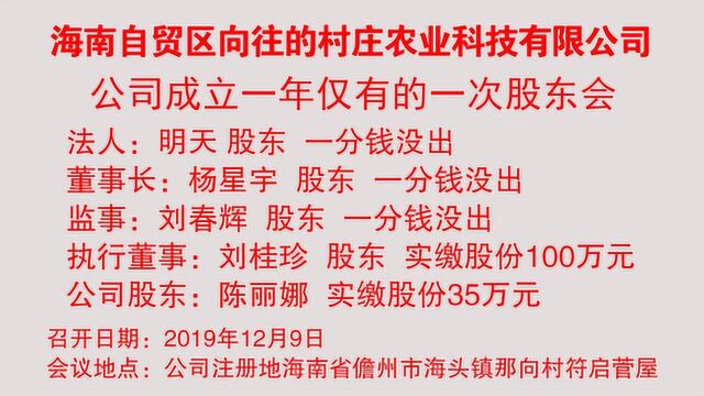 海南自贸区向往的村庄农业科技有限公司股东大会