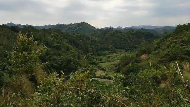 甲山庚四金四木九曲水出贵上品,风水大师寻龙点穴,阴宅祖坟地理风水宝地