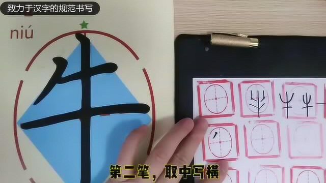 汉字中您知道属谁最牛吗?最牛的汉字揭开谜底,与你分享