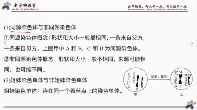 高中生物,减数分裂相关概念的理清小技巧,高中的你可以看看.