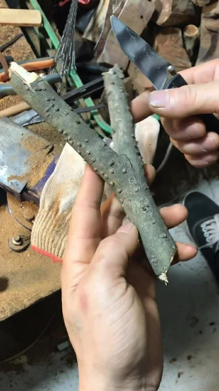 今天用树枝随便雕刻一把弹弓,喜欢雕刻的可以学习下手法