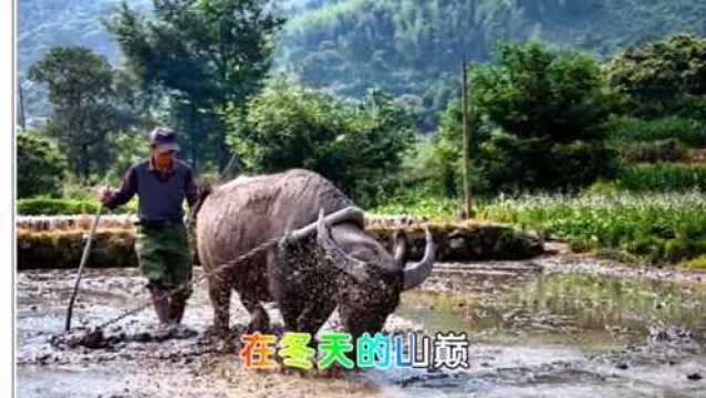 精彩瞬间:勤劳的人