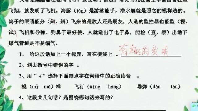 小学语文阅读理解讲解分析,一线老师带你学!