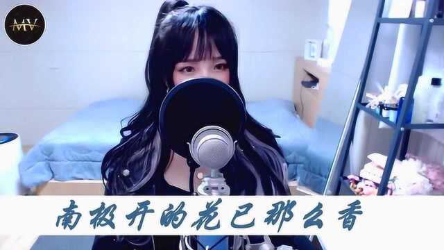 音乐真人秀《无常》