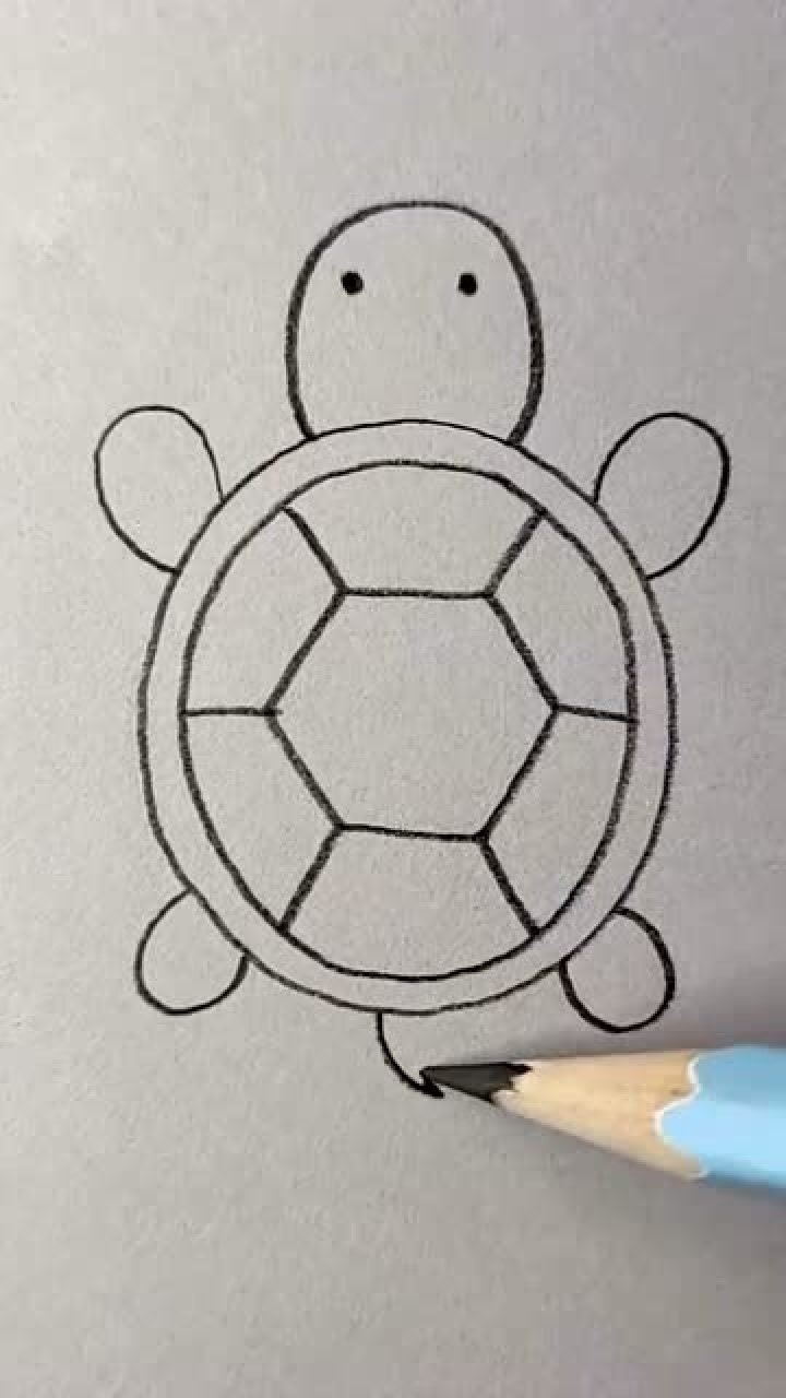 黄金龟简笔画图片