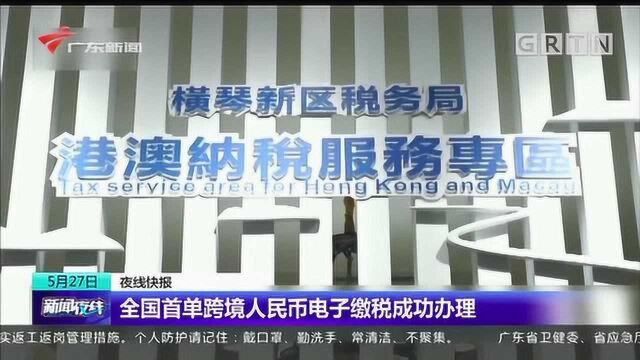 全国首单跨境人民币电子缴税成功办理