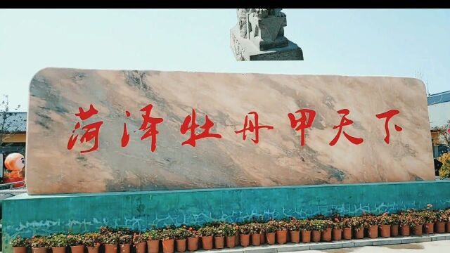 中国牡丹园vlog