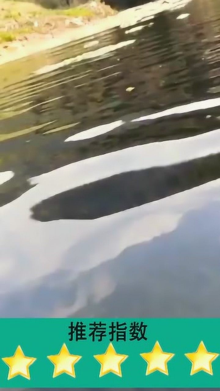本来想看下河底的样子却拍到了密集恐惧症最怕见到的场景
