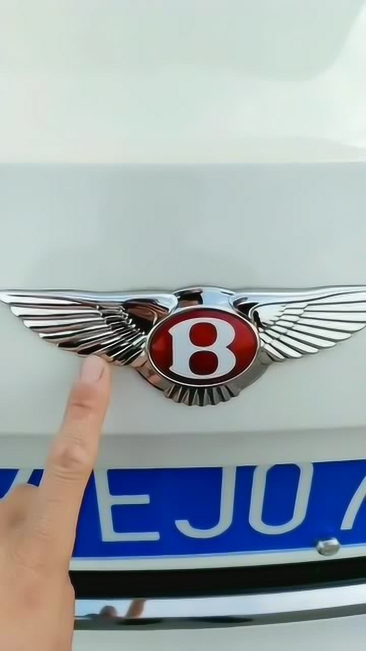 宾利车标两边的羽毛数量为什么不一样其中有什么故事吗