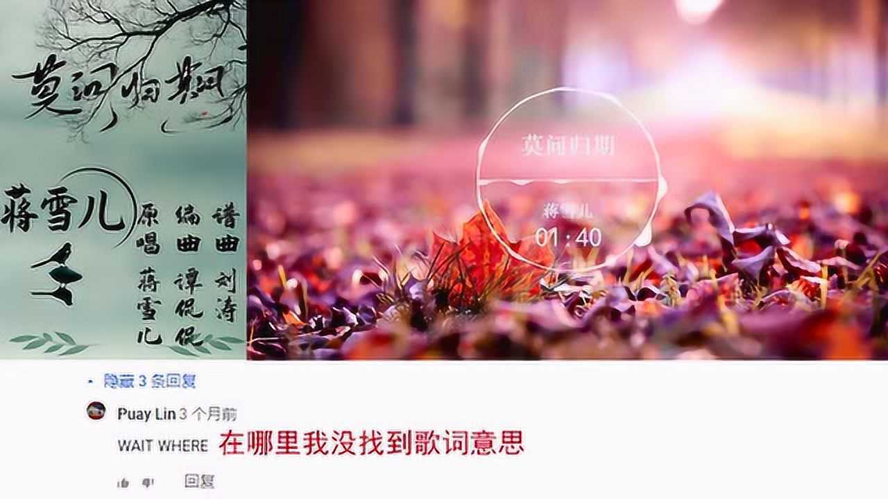 蔣雪兒古風曲《莫問歸期》youtube評論翻譯 外國人表示上癮了