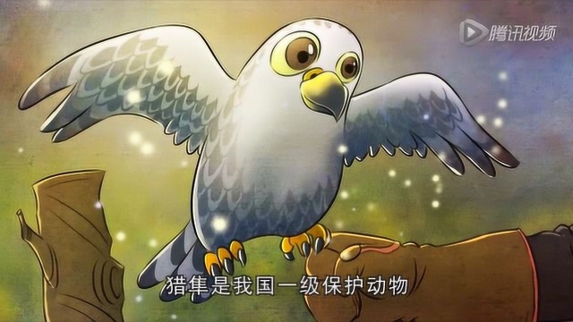 神兽金刚:神兽金刚小百科:猎隼的介绍!