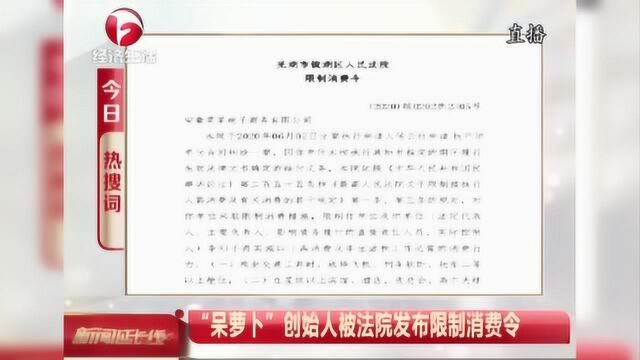 “呆萝卜”创始人被法院发布限制消费令