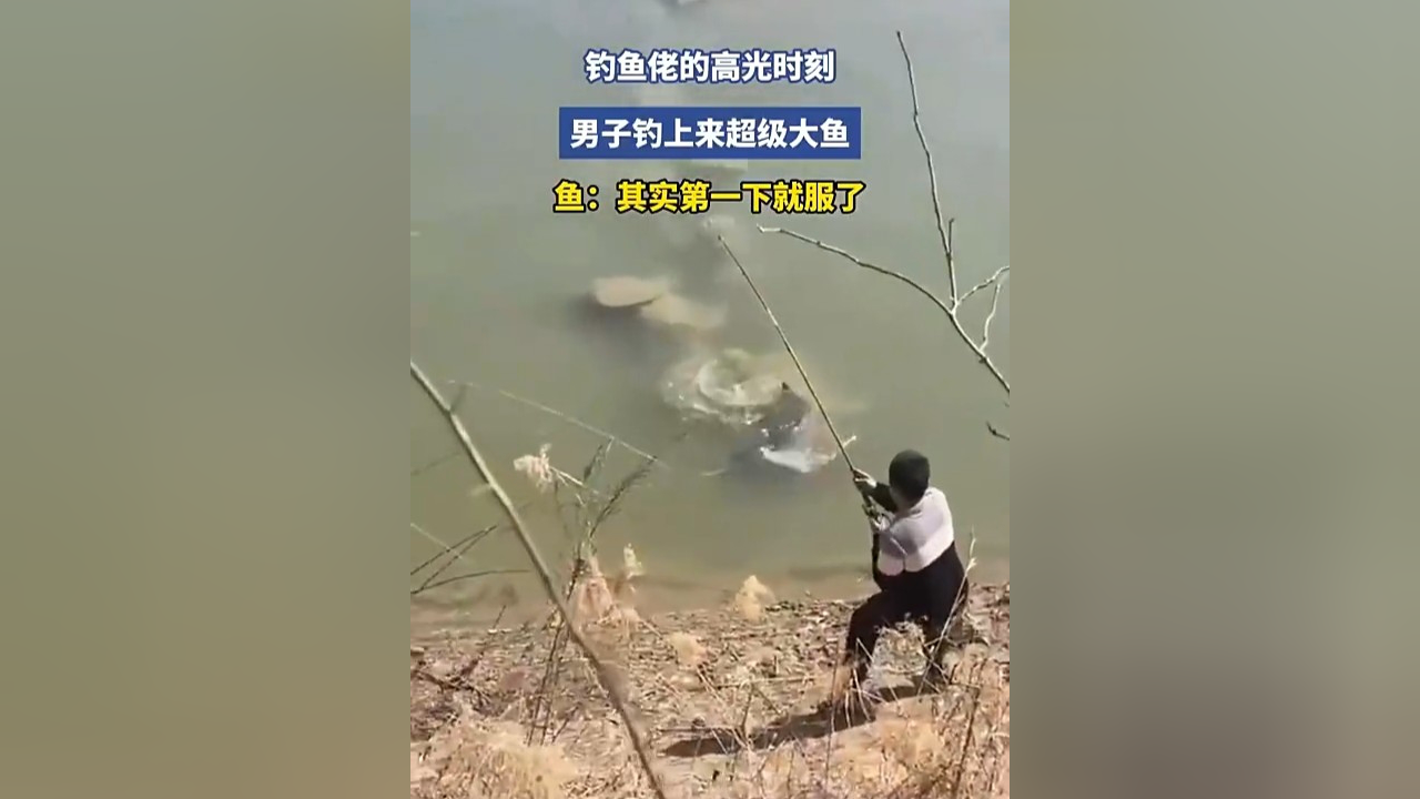 钓鱼佬的高光时刻,男子钓上来超级大鱼!_腾讯新闻