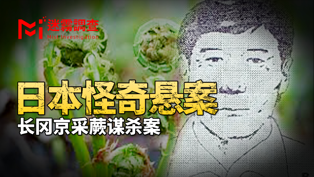 长达45年的悬案,日本主妇上山采蕨遇害,留下奇怪求救