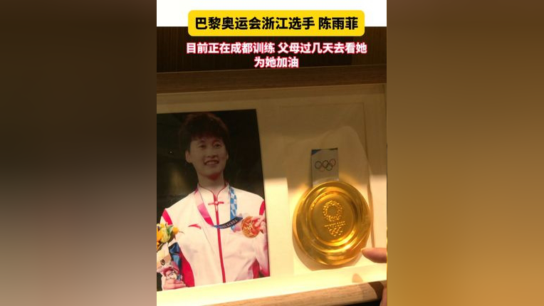 东京奥运会羽毛球女单冠军陈雨菲,即将出征巴黎.