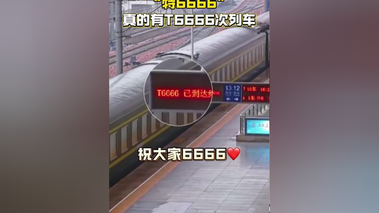 原来真的有 T6666 次列车，这趟列车从河南三门峡西站出发，终点是郑州站，三门峡仰韶文化博物馆、洛阳二里头夏都遗址博物馆、郑州商都遗址博物院 ...
