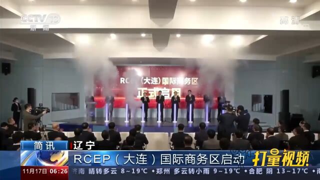 速看!RCEP(大连)国际商务区投入使用