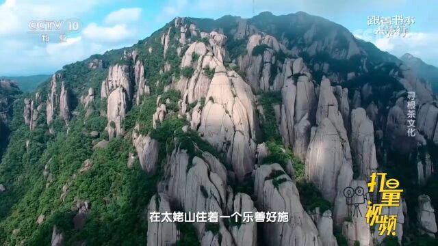 太姥山有何身世之谜?一起聆听传奇的白茶故事