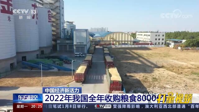 2022年我国全年收购粮食8000亿斤