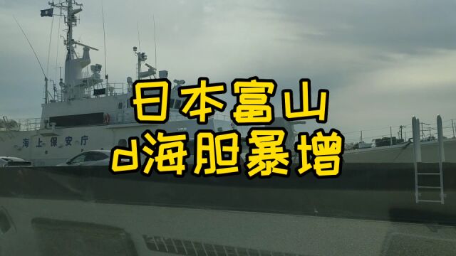 日本富山发现大量d海胆?后半段转发给你英语不好的留学生朋友们