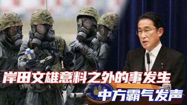 《禁止化学武器公约》第五次审议大会在海牙开幕