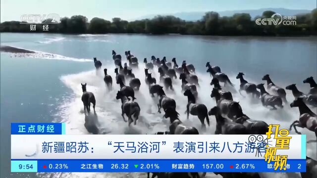 新疆昭苏:“天马浴河”表演引来八方游客,场面壮观奇美