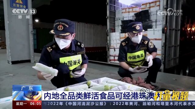 广东:内地全品类鲜活食品可经港珠澳大桥供港