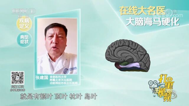 海马位于我们大脑中的什么位置?发挥着什么样的重要作用?来看