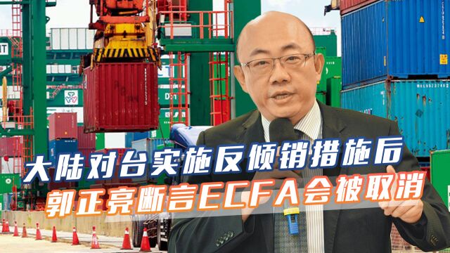 对台实施反倾销措施后,郭正亮断言大陆会取消ECFA,并给出时间表