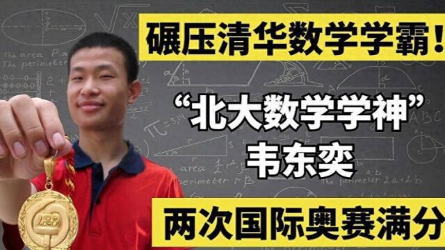 北大“韦神”再遭质疑,学生退课无人问津,网友:下一个爱因斯坦