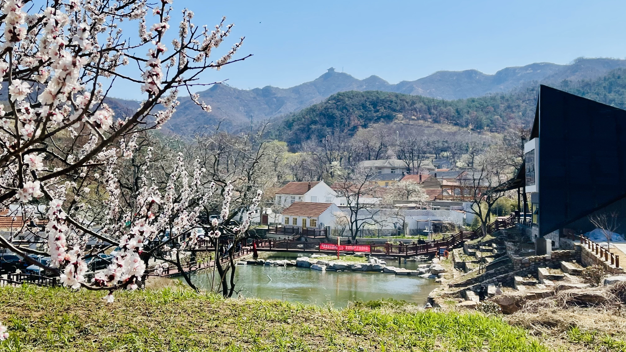 威海里口山风景区简介图片