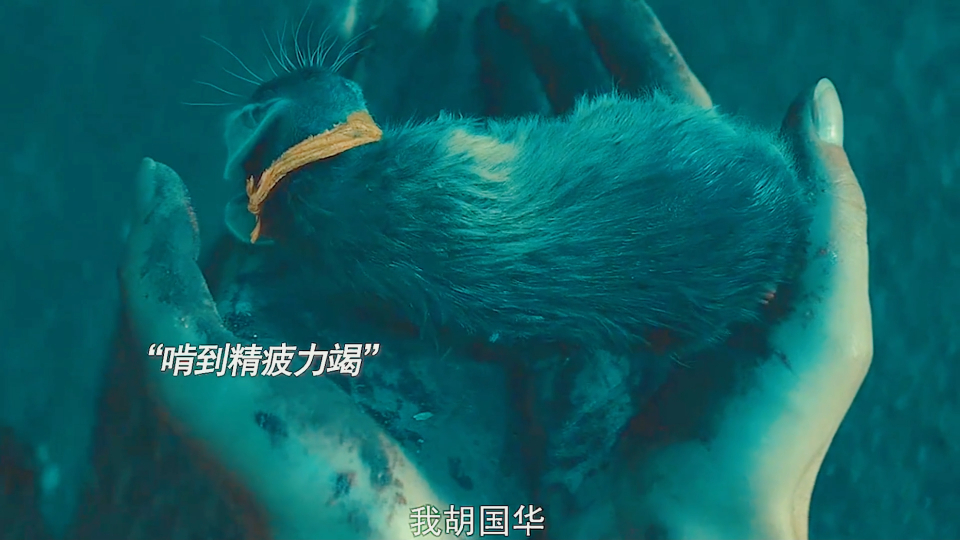 常乐镇诡事:万物皆有灵性,你给鼠鼠一碗饭,鼠鼠还你千军万鼠