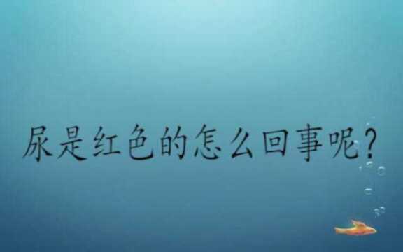 尿是红色的怎么回事呢?