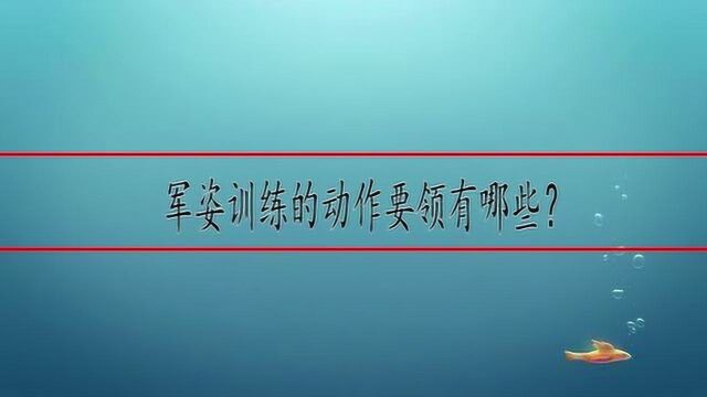 军姿训练的动作要领有哪些?