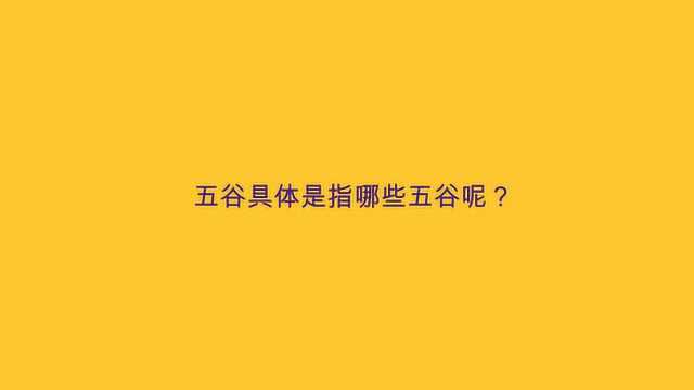 五谷具体是指哪些五谷呢?