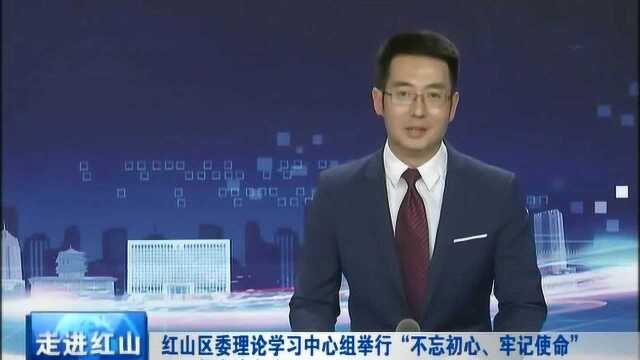 红山区委理论学习中心组举行“不忘初心牢记使命”主题教育读书班