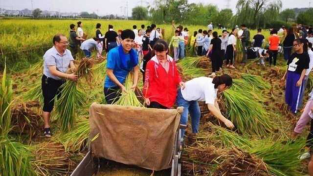 劝退农林经济管理专业,行业现状如此,个人只能顺应潮流