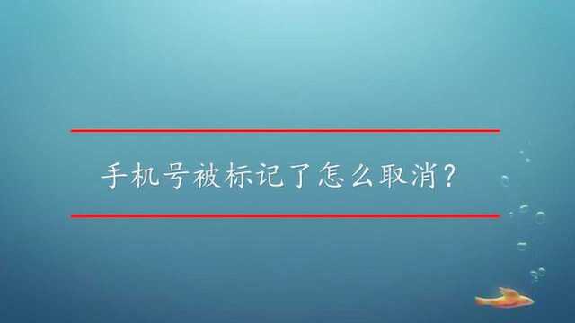 手机号被标记了怎么取消?