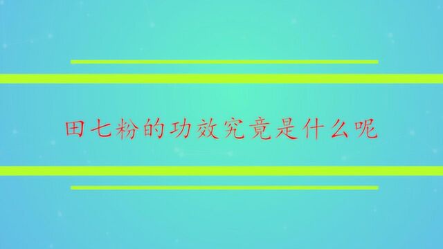 田七粉的功效究竟是什么呢