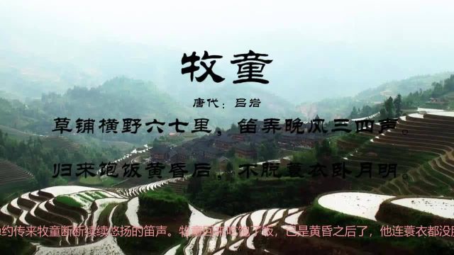 古诗朗诵:“草铺横野六七里,笛弄晚风三四声”,吕岩《牧童》