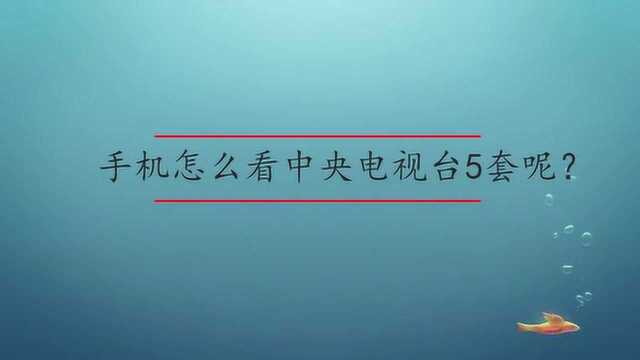 手机怎么看中央电视台5套呢?