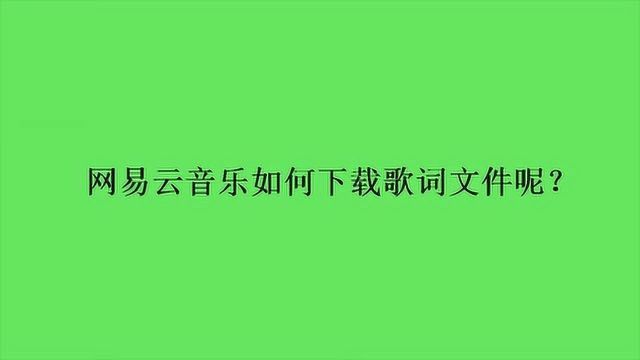 网易云音乐如何下载歌词文件呢?