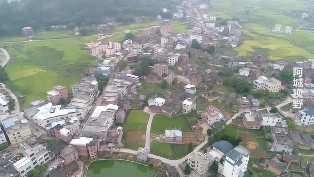 航拍龙川岩镇山池村