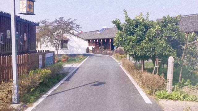 浙江乡村民俗文化旅游,海宁梁家墩真是太美了