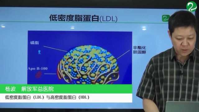 低密度脂蛋白(LDL)与高密度脂蛋白(HDL)