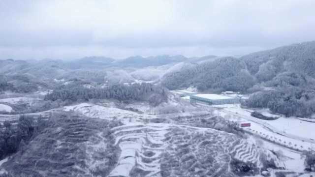 南方也下雪了!四川广元迎大雪,积雪最厚达6厘米